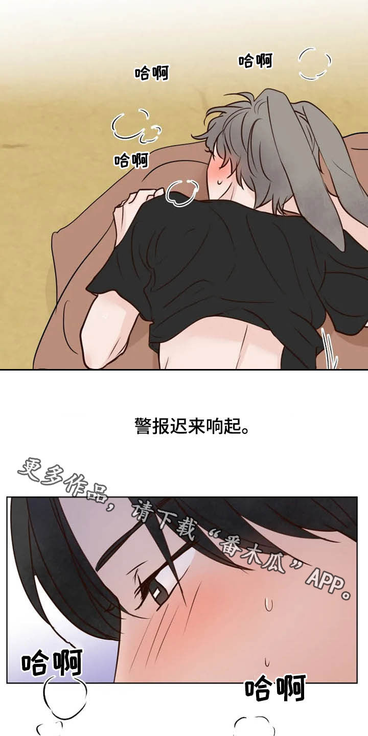 《龟兔同行》漫画最新章节第19章：任重道远免费下拉式在线观看章节第【2】张图片