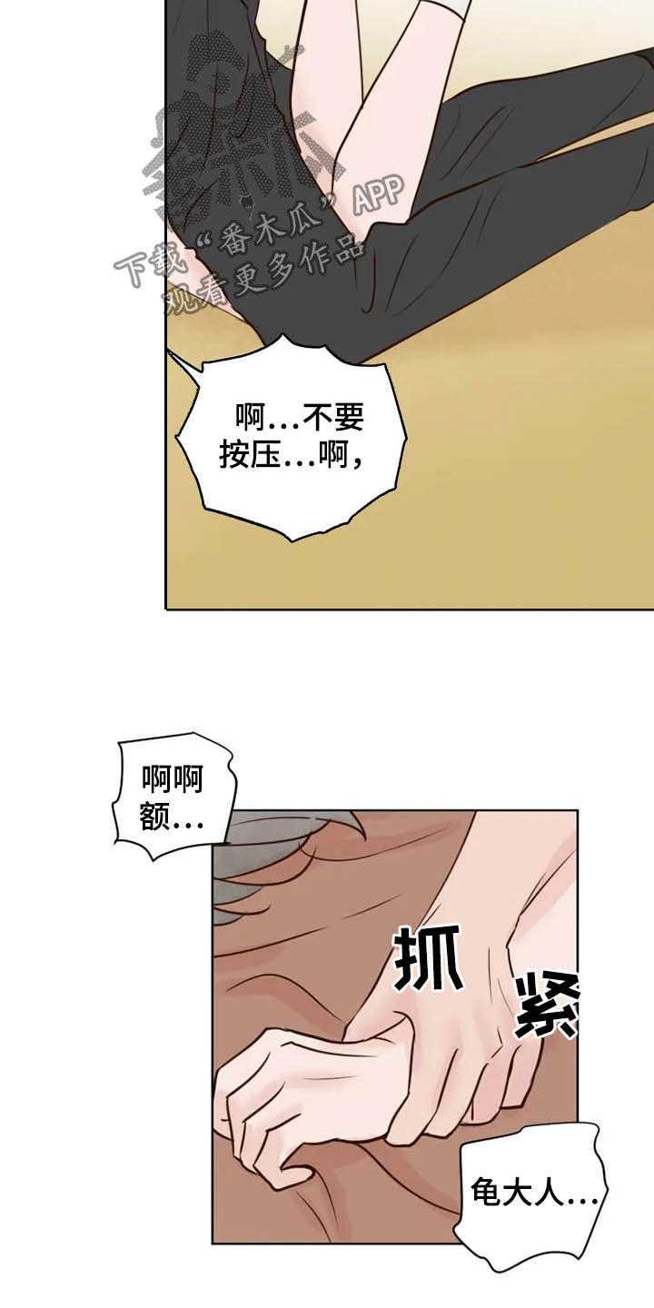 《龟兔同行》漫画最新章节第19章：任重道远免费下拉式在线观看章节第【11】张图片