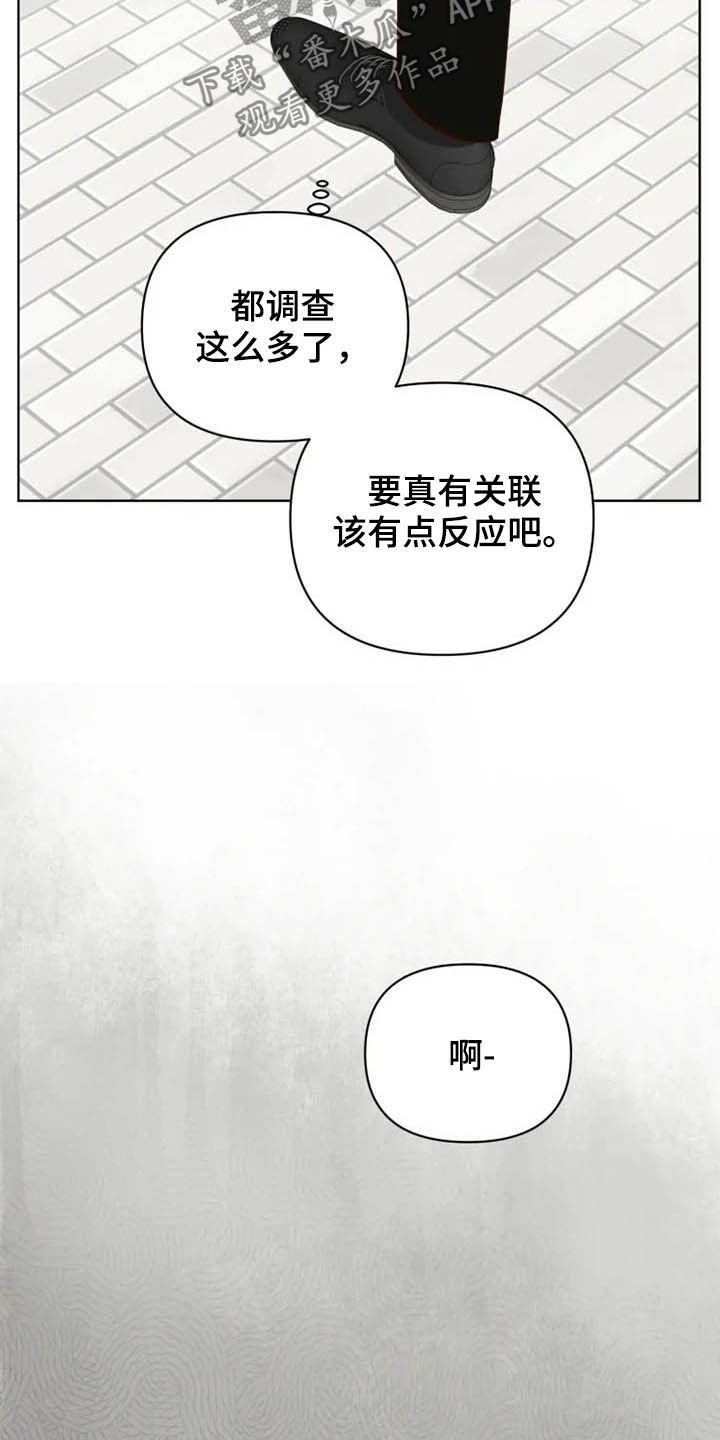 《龟兔同行》漫画最新章节第23章：调查免费下拉式在线观看章节第【4】张图片