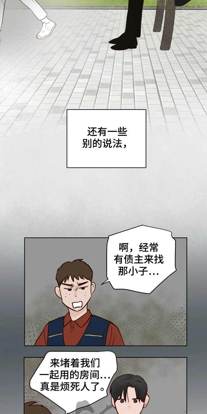 《龟兔同行》漫画最新章节第23章：调查免费下拉式在线观看章节第【10】张图片