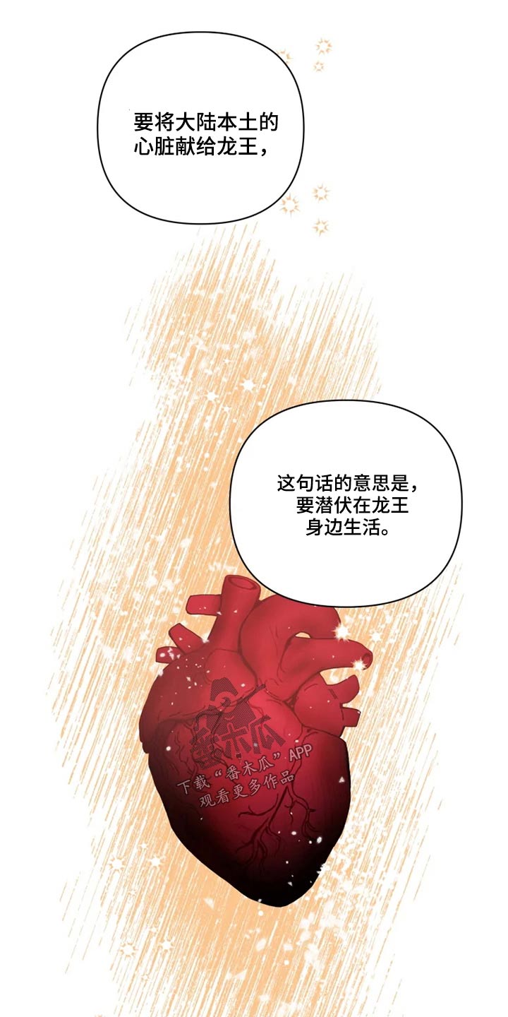 《龟兔同行》漫画最新章节第39章：协议书免费下拉式在线观看章节第【5】张图片