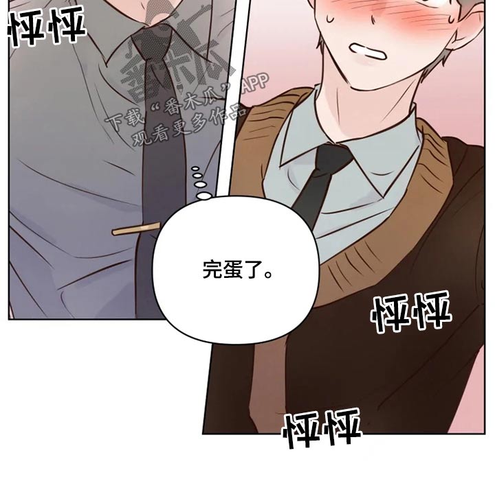 《龟兔同行》漫画最新章节第41章：很清楚免费下拉式在线观看章节第【3】张图片