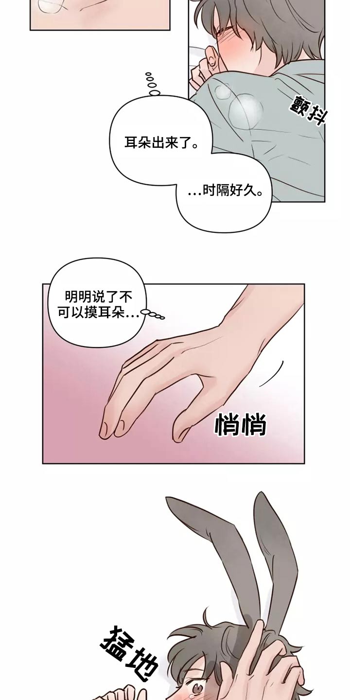 《龟兔同行》漫画最新章节第42章：愿意免费下拉式在线观看章节第【8】张图片