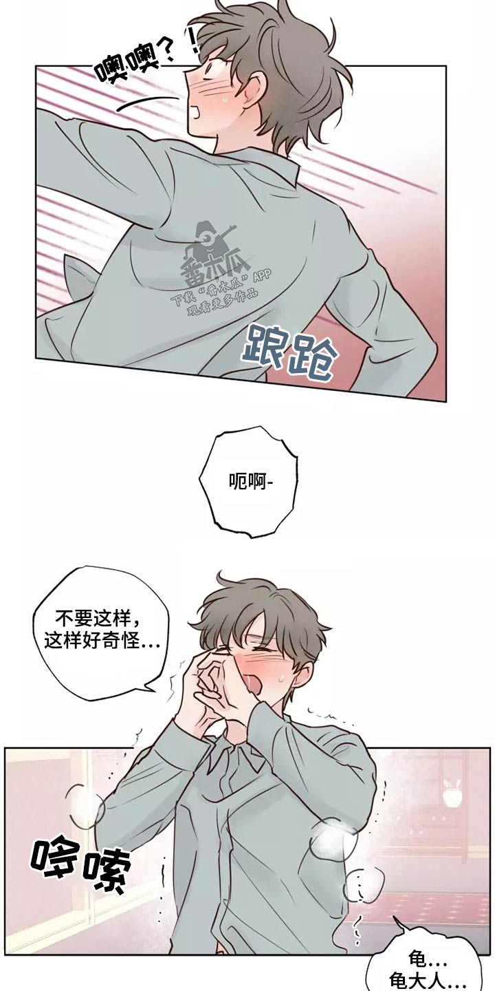 《龟兔同行》漫画最新章节第42章：愿意免费下拉式在线观看章节第【11】张图片