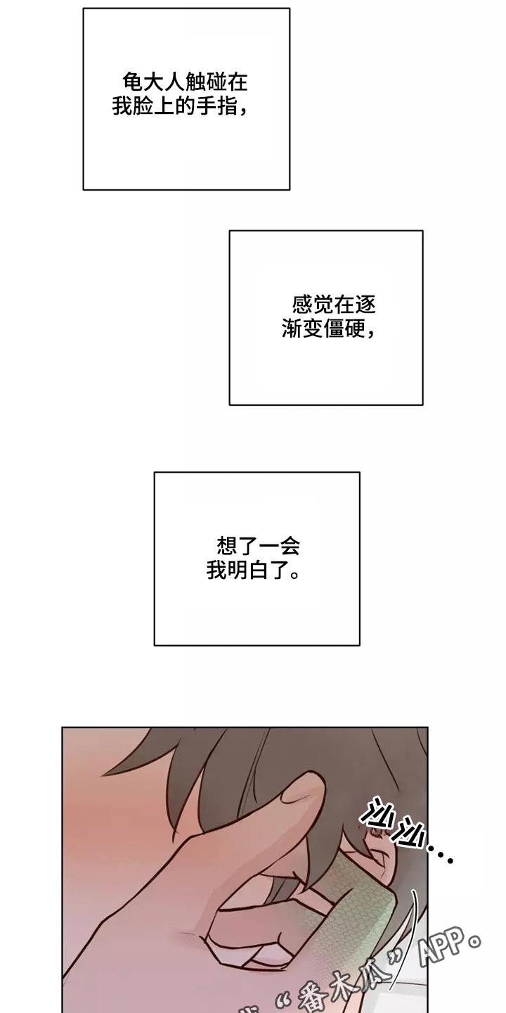 《龟兔同行》漫画最新章节第51章：有什么理由免费下拉式在线观看章节第【2】张图片