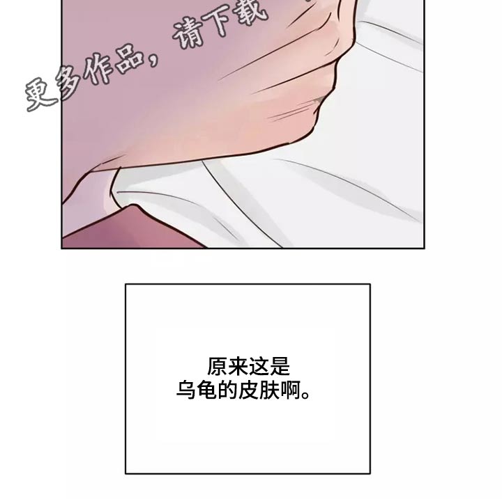 《龟兔同行》漫画最新章节第51章：有什么理由免费下拉式在线观看章节第【1】张图片