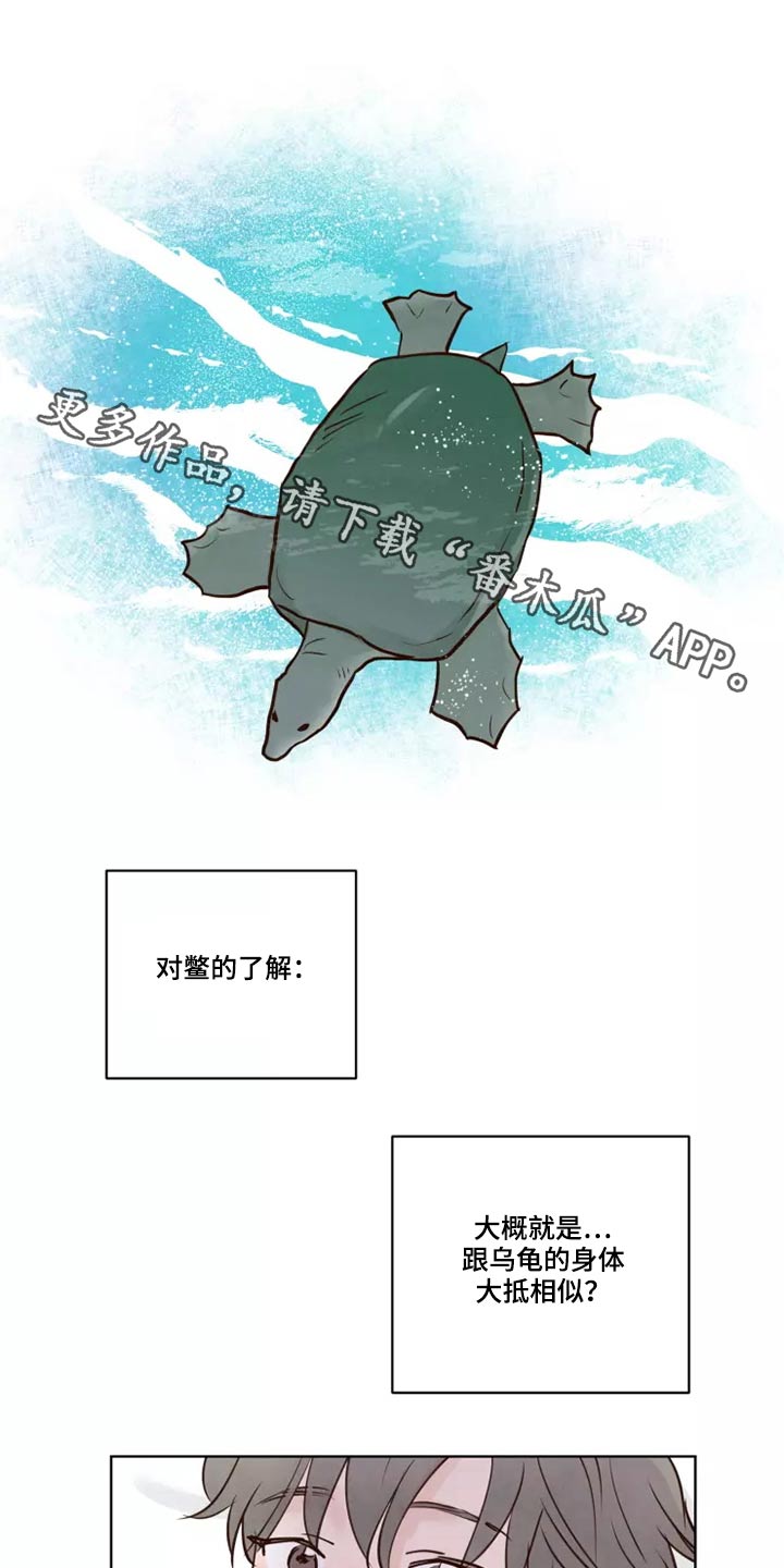 《龟兔同行》漫画最新章节第52章：快说免费下拉式在线观看章节第【25】张图片