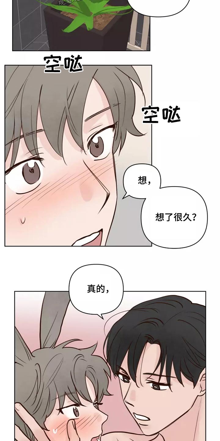 《龟兔同行》漫画最新章节第53章：处理免费下拉式在线观看章节第【18】张图片