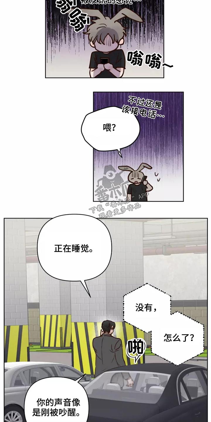 《龟兔同行》漫画最新章节第53章：处理免费下拉式在线观看章节第【9】张图片