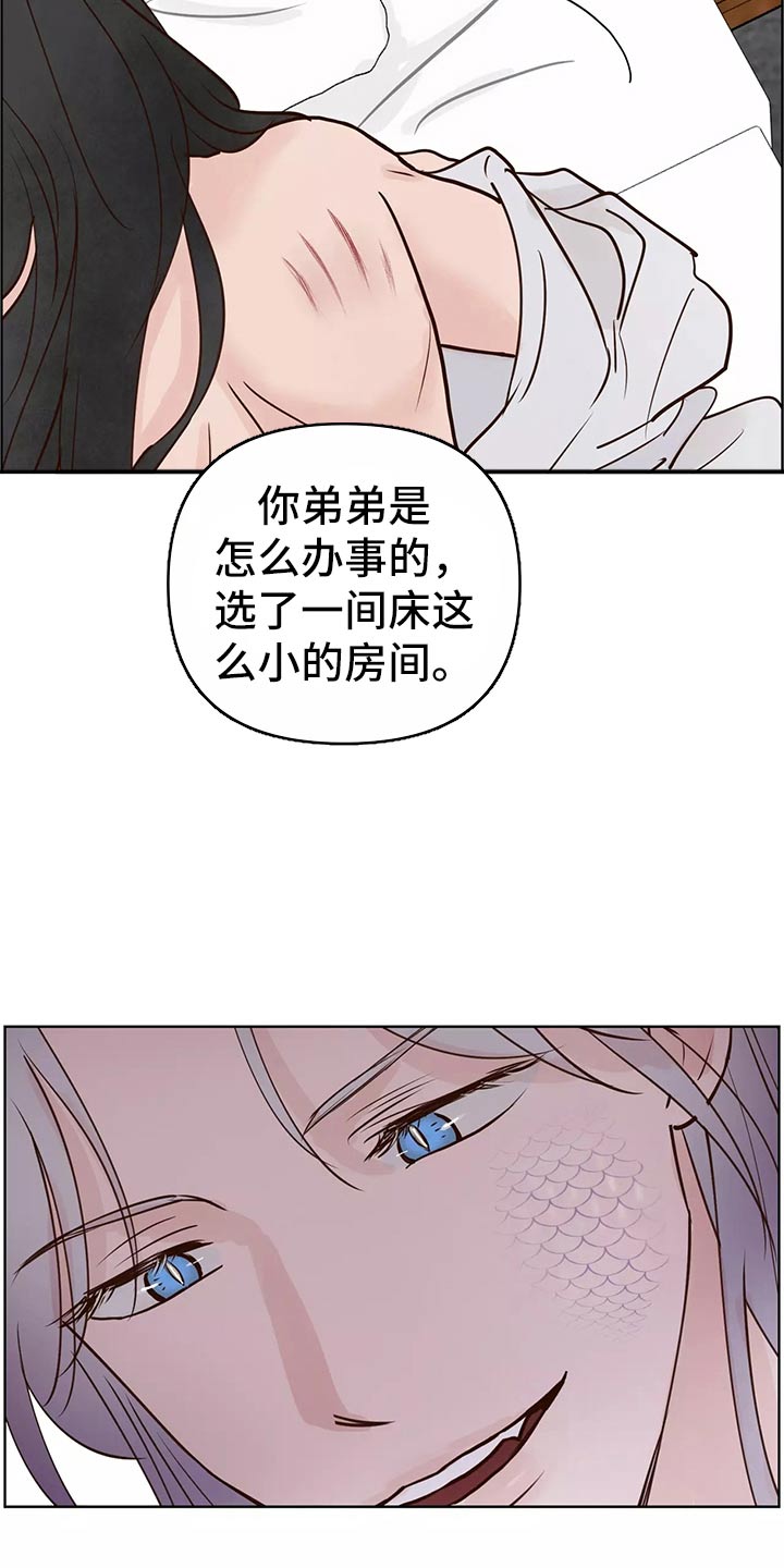 《龟兔同行》漫画最新章节第63章：开始免费下拉式在线观看章节第【8】张图片