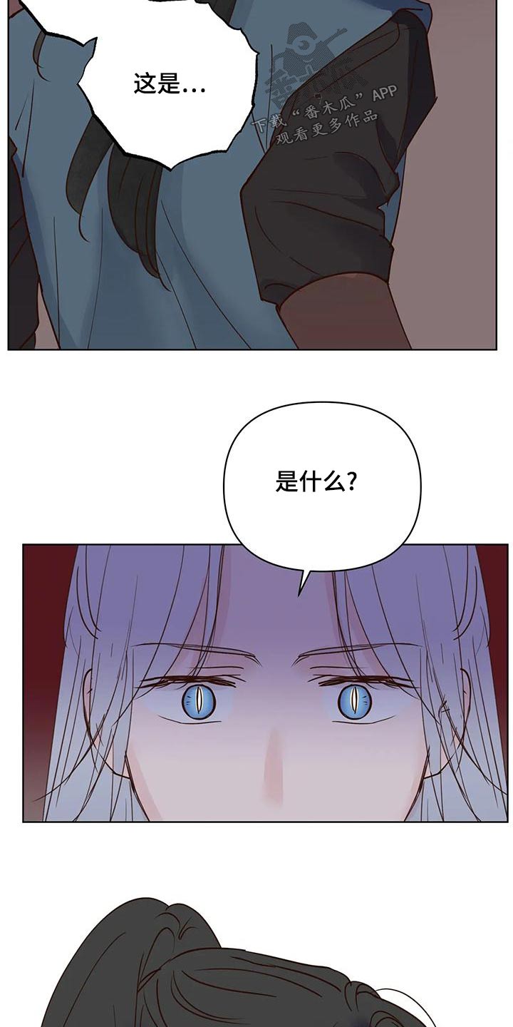 《龟兔同行》漫画最新章节第81章：那是免费下拉式在线观看章节第【3】张图片