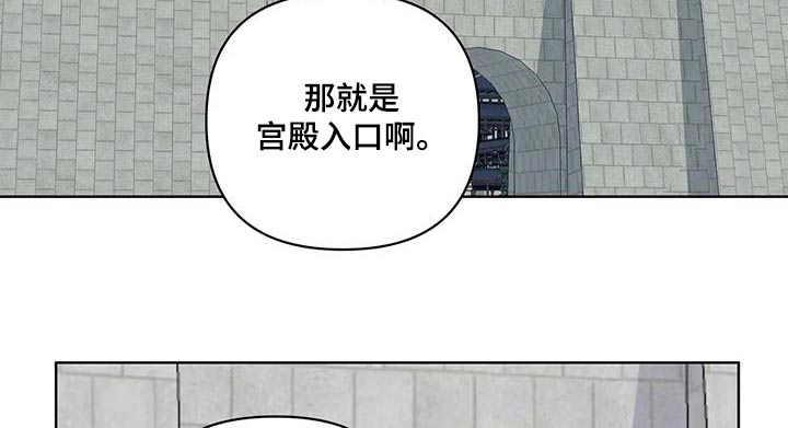 《龟兔同行》漫画最新章节第89章：入口免费下拉式在线观看章节第【13】张图片