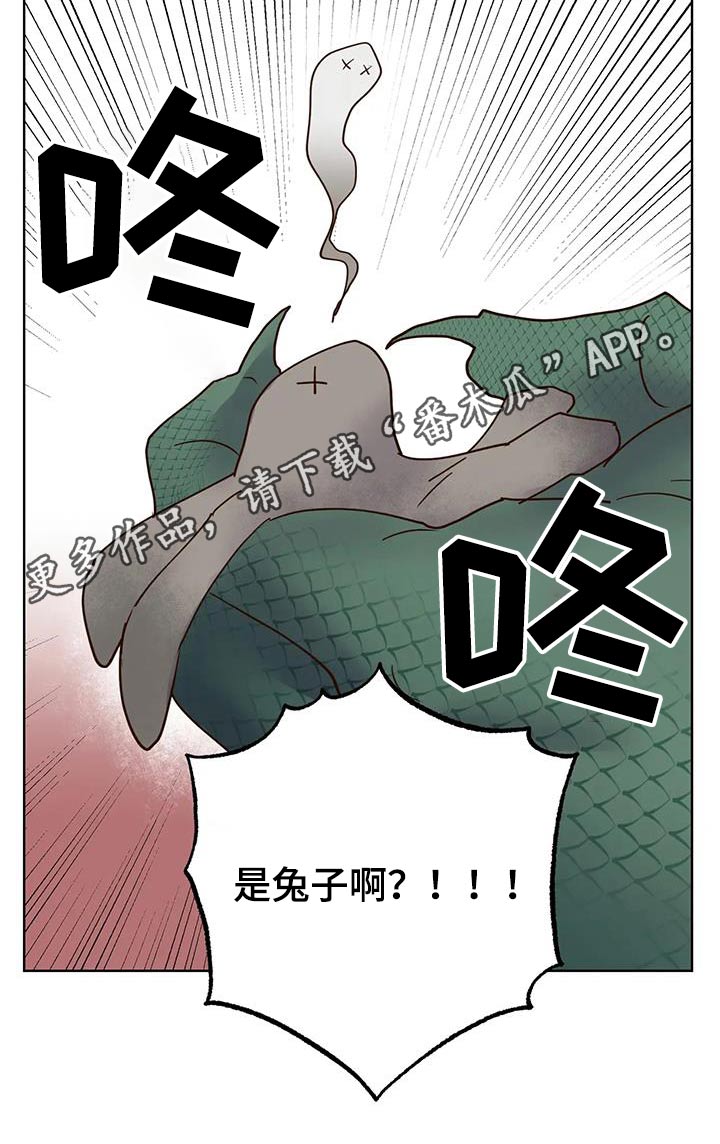 《龟兔同行》漫画最新章节第90章：动静免费下拉式在线观看章节第【1】张图片