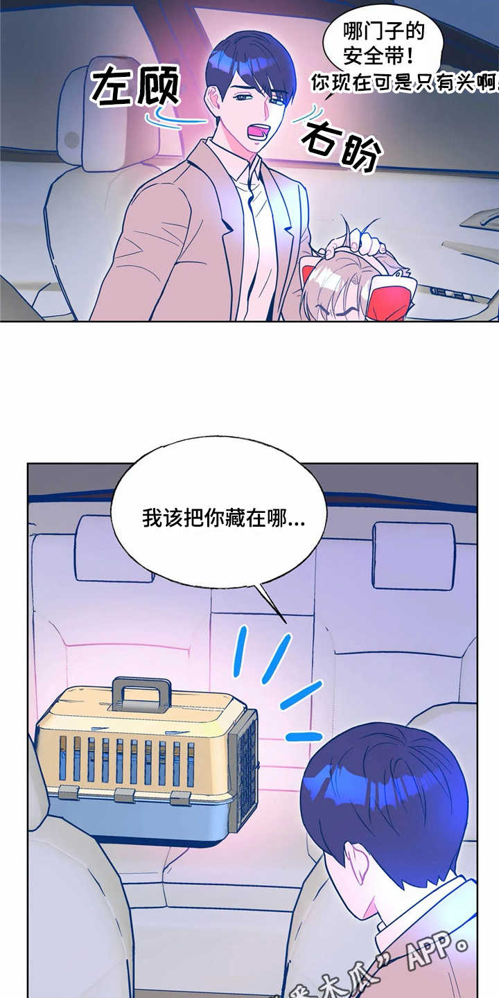 《高能研究所》漫画最新章节第8章：潜入免费下拉式在线观看章节第【9】张图片