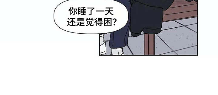 《情书计划》漫画最新章节第3章：告示免费下拉式在线观看章节第【1】张图片