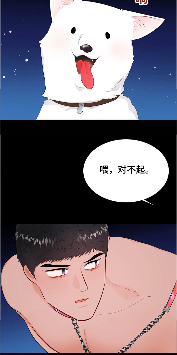 《校园监察》漫画最新章节第83章：为什么会这样免费下拉式在线观看章节第【5】张图片