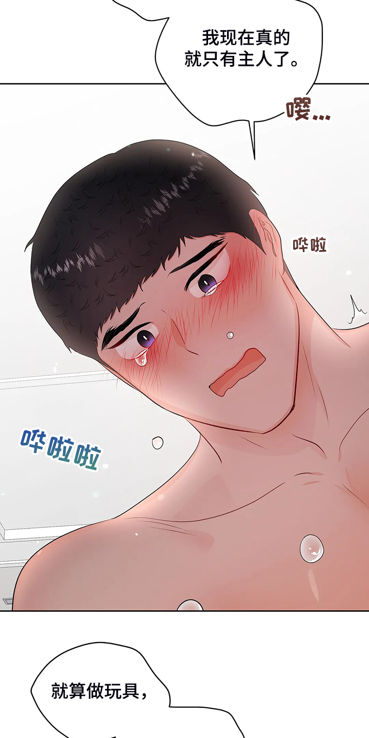 《校园监察》漫画最新章节第98章：从什么时候开始免费下拉式在线观看章节第【10】张图片