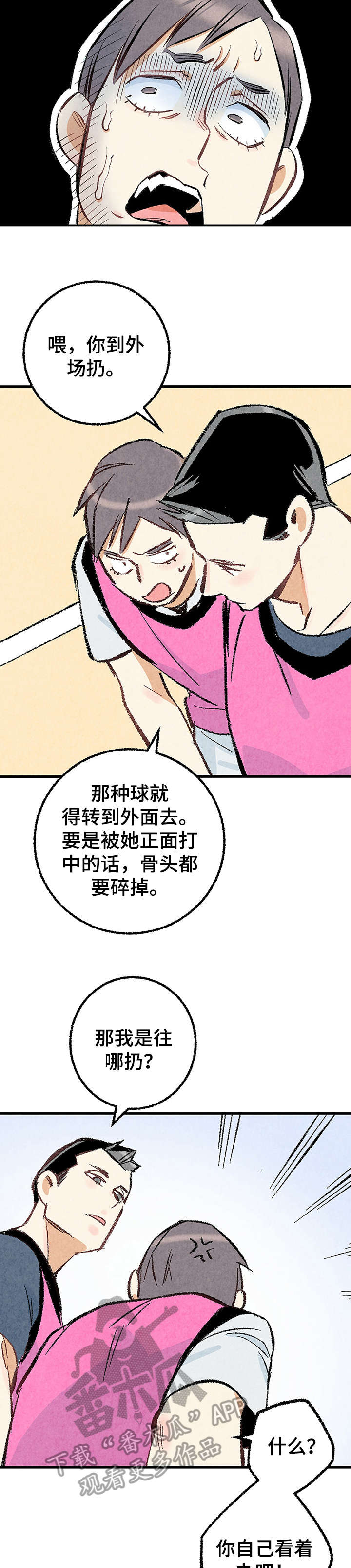 《完美伴侣》漫画最新章节第19章：躲避球免费下拉式在线观看章节第【3】张图片