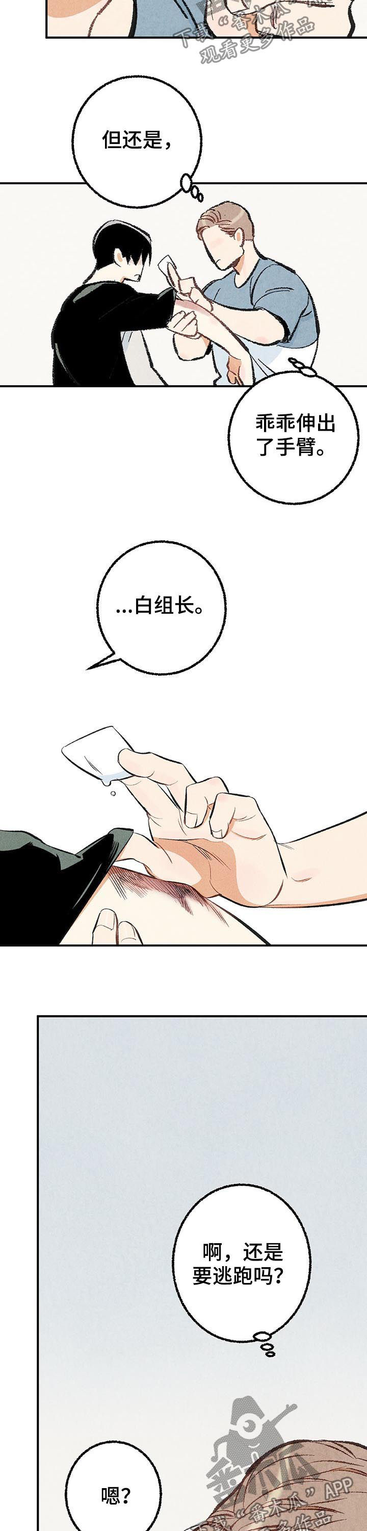 《完美伴侣》漫画最新章节第25章：擦药免费下拉式在线观看章节第【5】张图片