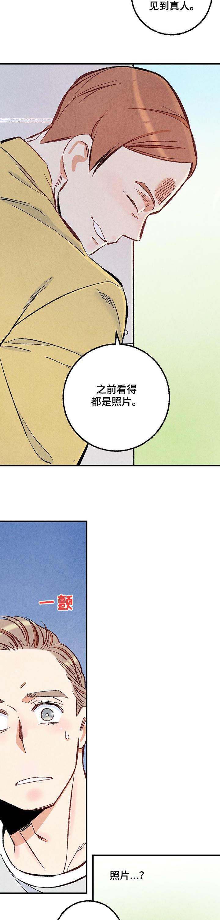 《完美伴侣》漫画最新章节第36章：美人免费下拉式在线观看章节第【2】张图片