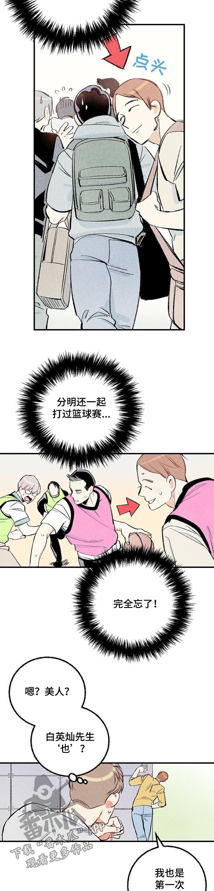 《完美伴侣》漫画最新章节第36章：美人免费下拉式在线观看章节第【3】张图片