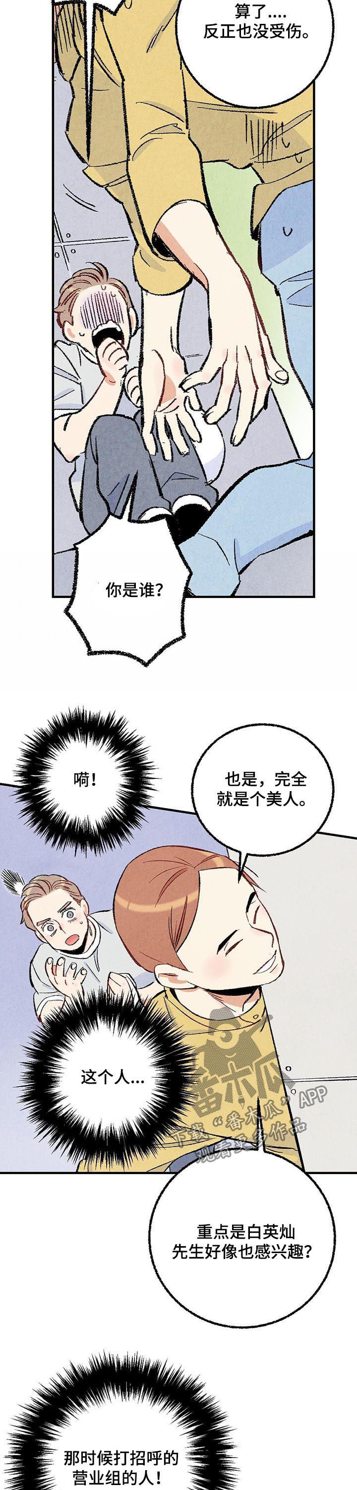 《完美伴侣》漫画最新章节第36章：美人免费下拉式在线观看章节第【4】张图片