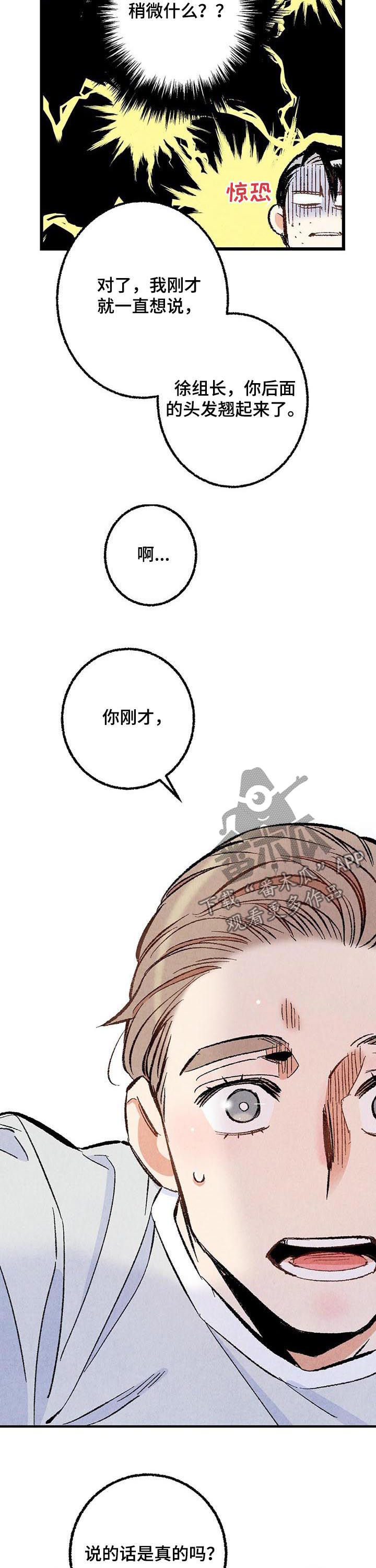 《完美伴侣》漫画最新章节第39章：容易让人误会免费下拉式在线观看章节第【4】张图片