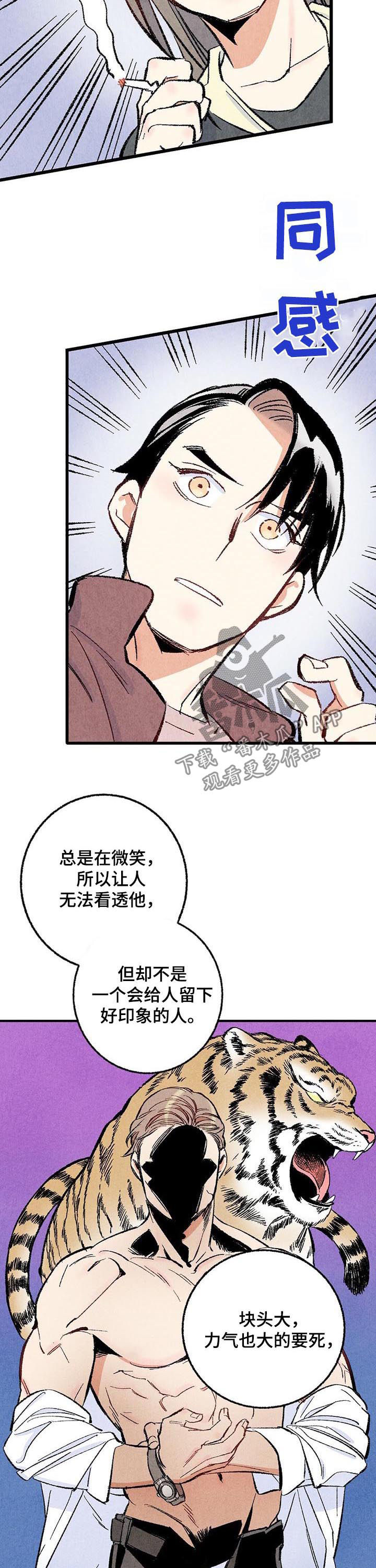 《完美伴侣》漫画最新章节第39章：容易让人误会免费下拉式在线观看章节第【12】张图片