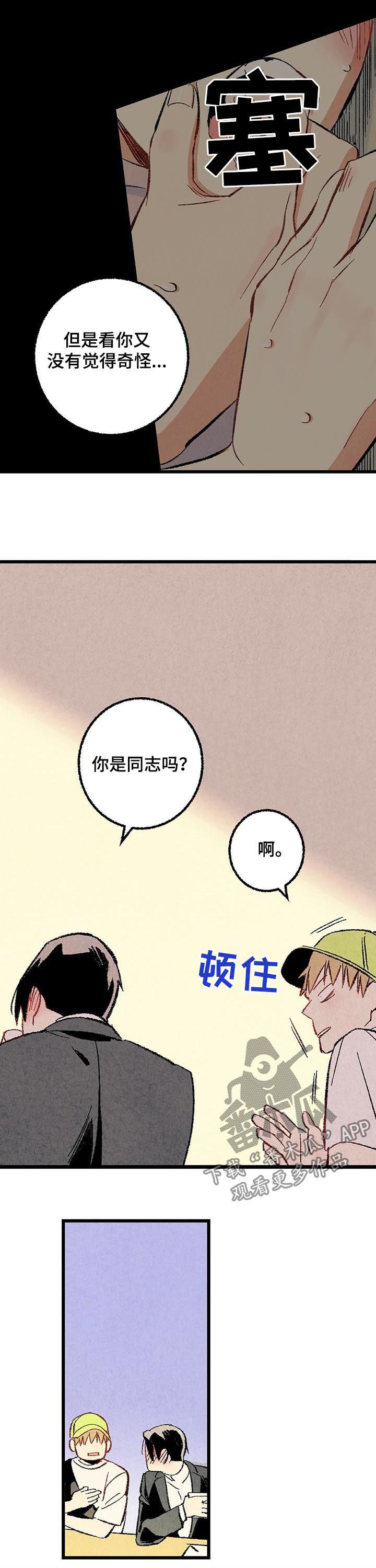 《完美伴侣》漫画最新章节第51章：他是直的！免费下拉式在线观看章节第【5】张图片