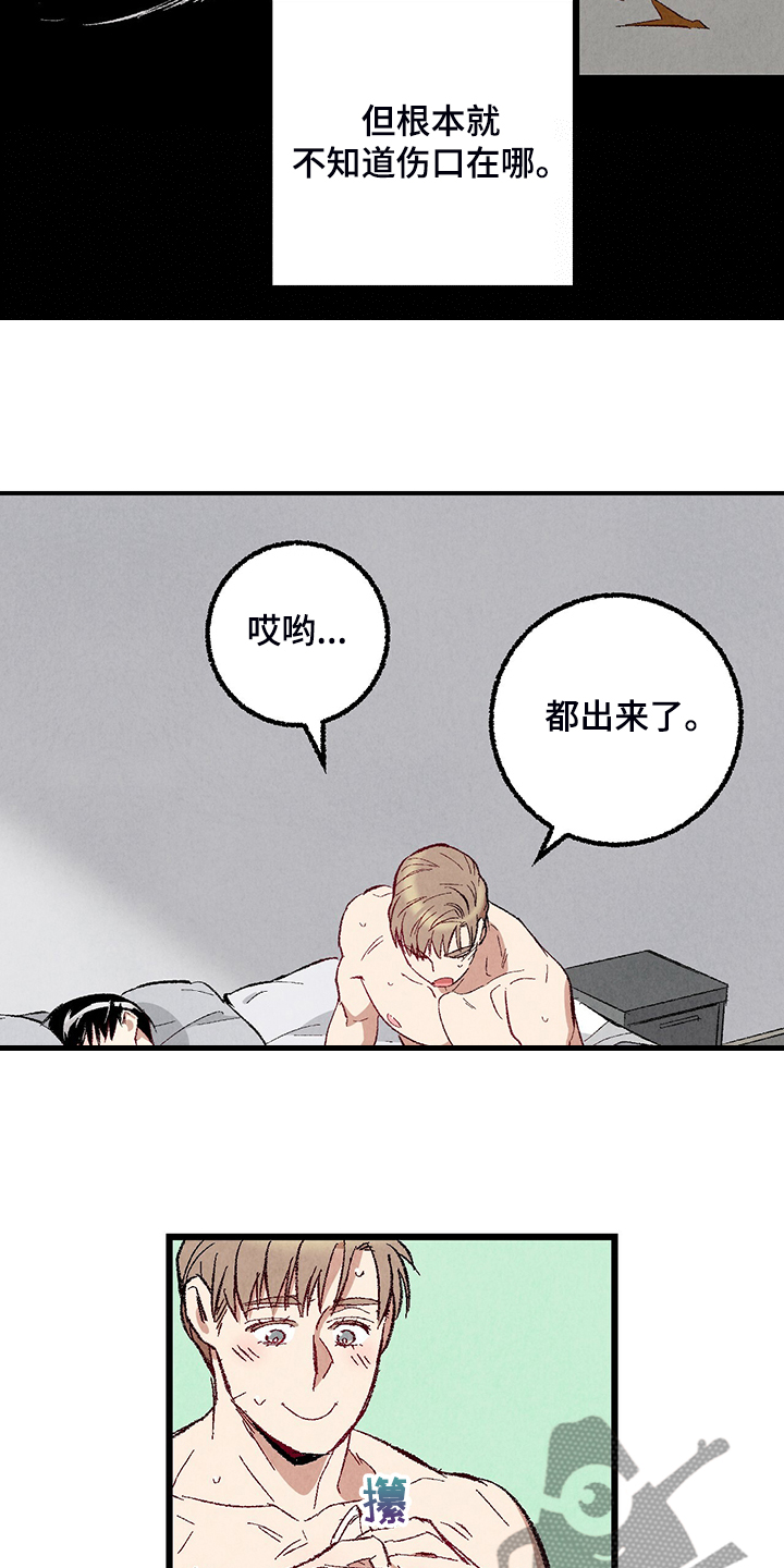 《完美伴侣》漫画最新章节第76章：【第二季】像受伤的猫免费下拉式在线观看章节第【4】张图片