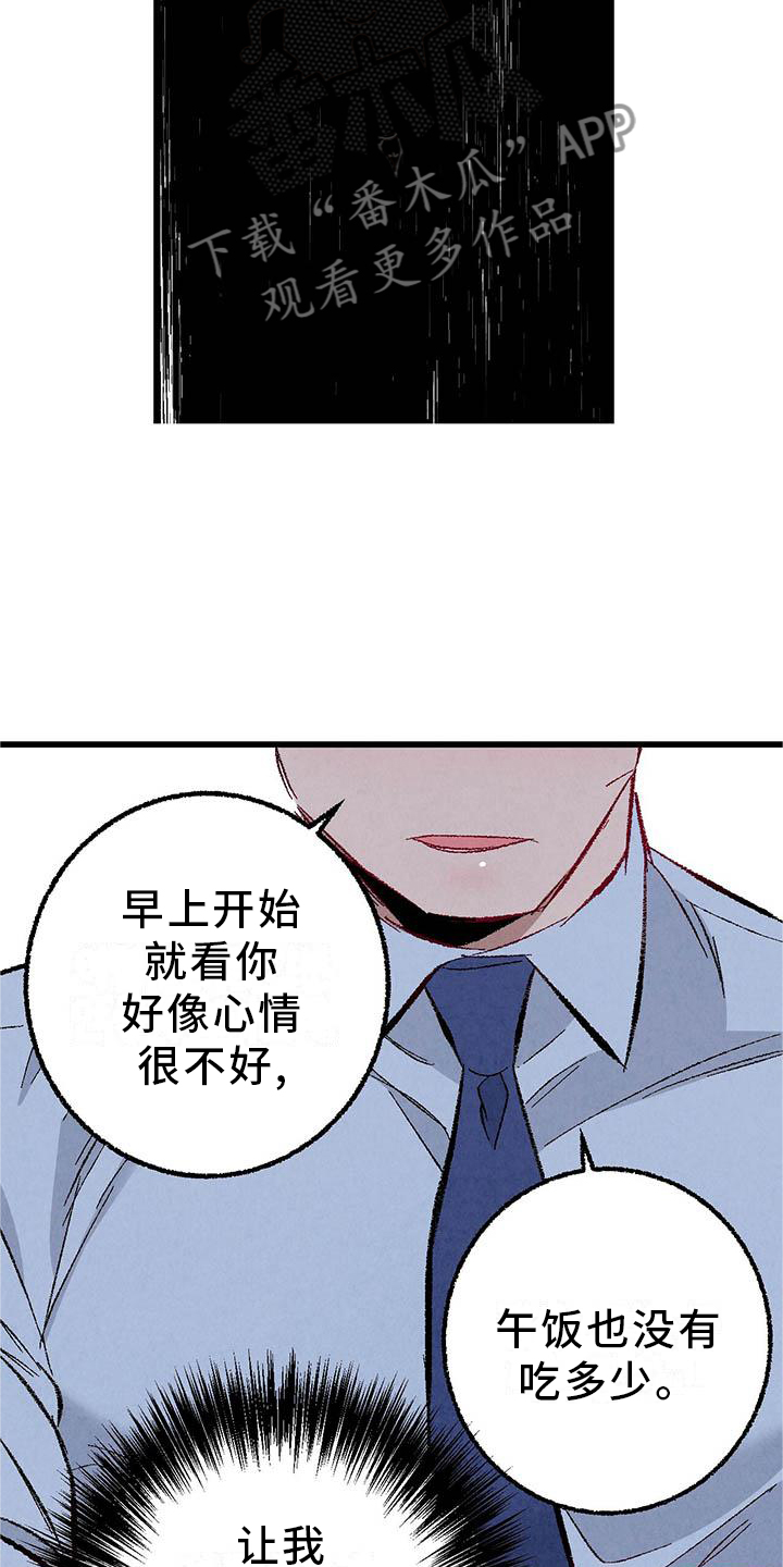 《完美伴侣》漫画最新章节第95章：【第二季】谈话免费下拉式在线观看章节第【11】张图片