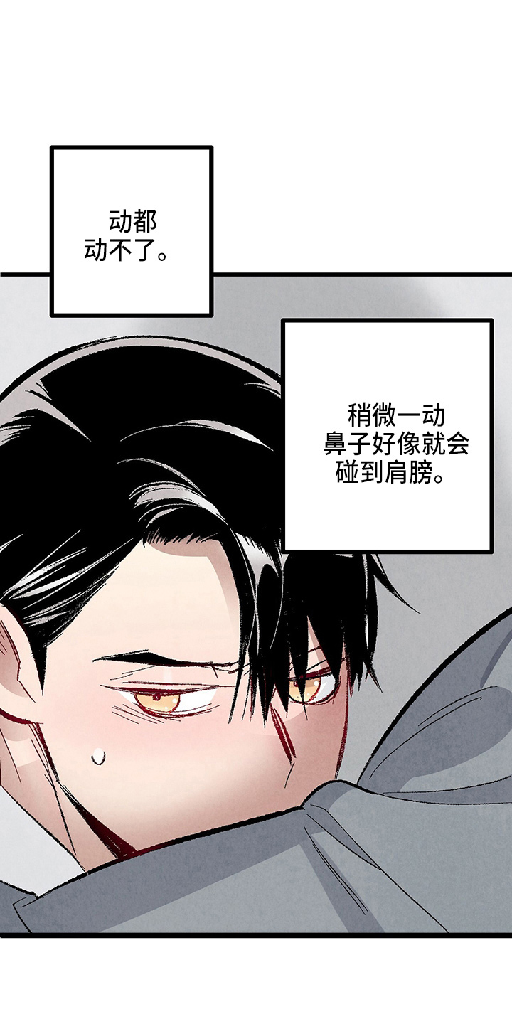 《完美伴侣》漫画最新章节第96章：【第二季】吓到免费下拉式在线观看章节第【38】张图片