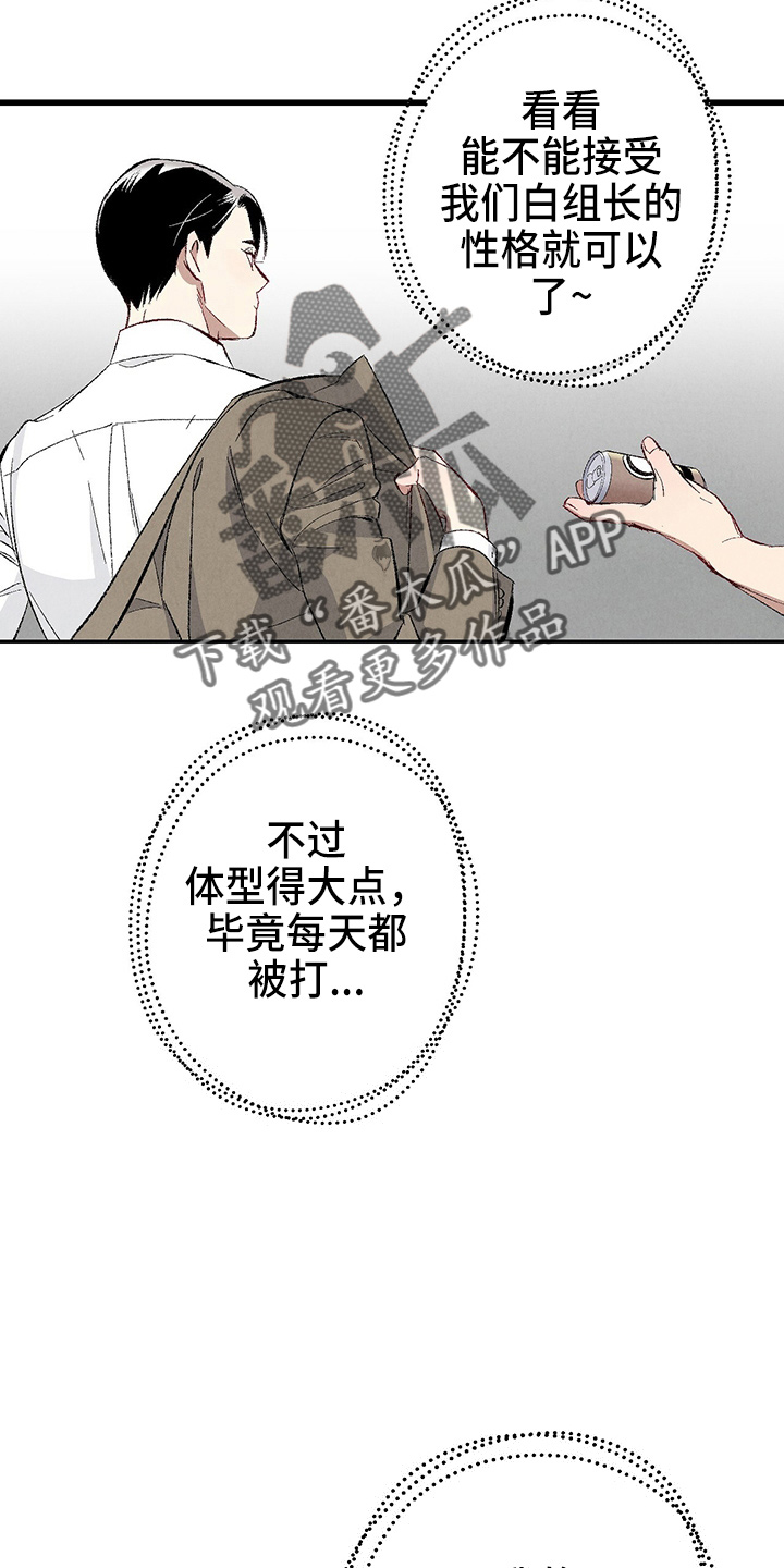 《完美伴侣》漫画最新章节第96章：【第二季】吓到免费下拉式在线观看章节第【5】张图片