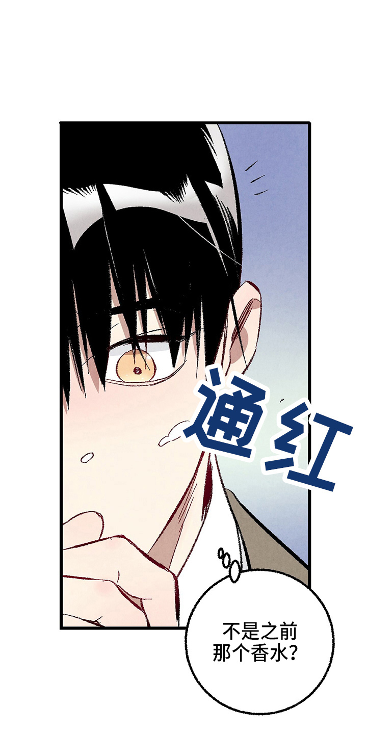 《完美伴侣》漫画最新章节第97章：【第二季】没事吧免费下拉式在线观看章节第【31】张图片