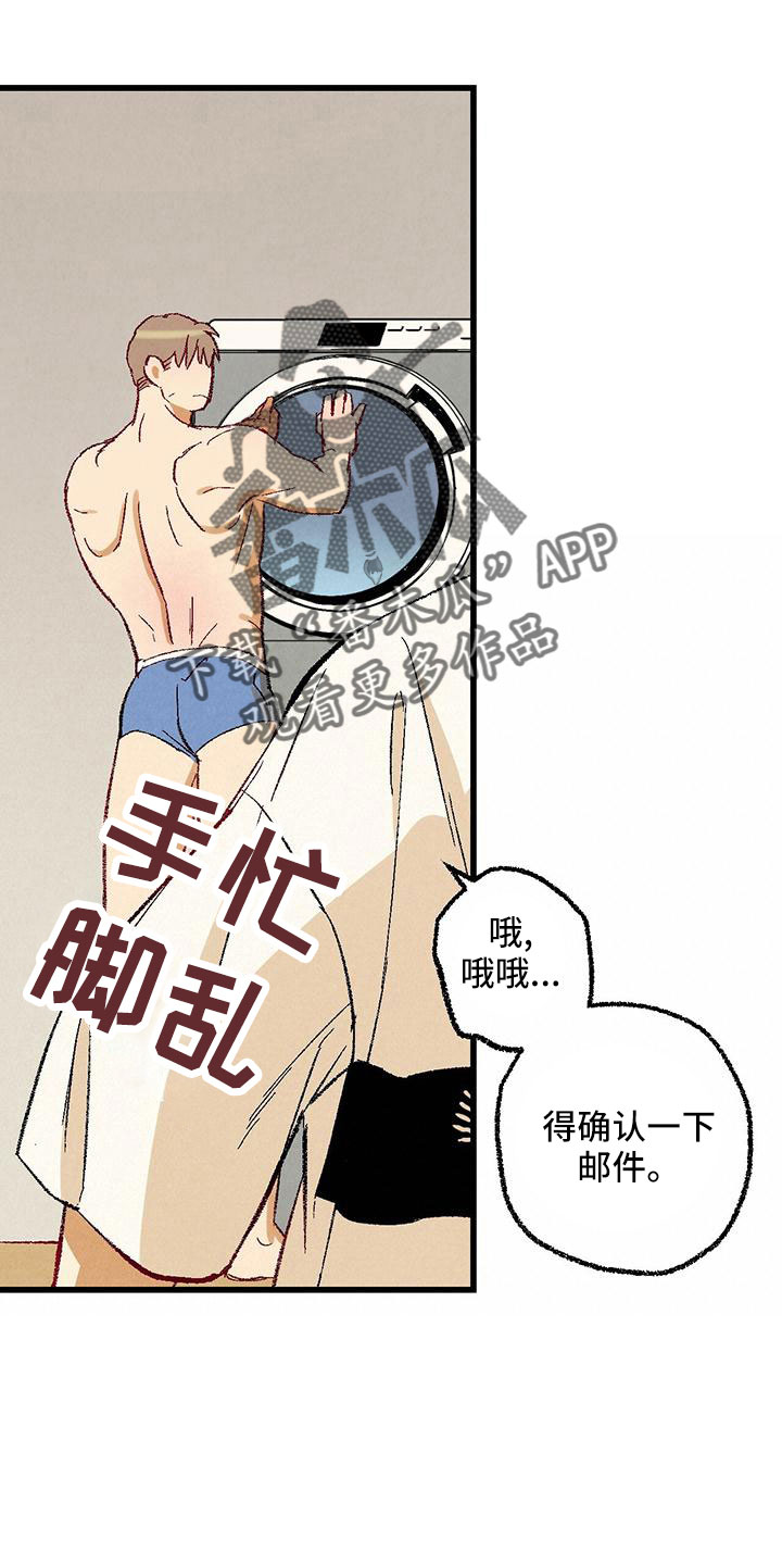 《完美伴侣》漫画最新章节第104章：【第二季】还没结束免费下拉式在线观看章节第【28】张图片