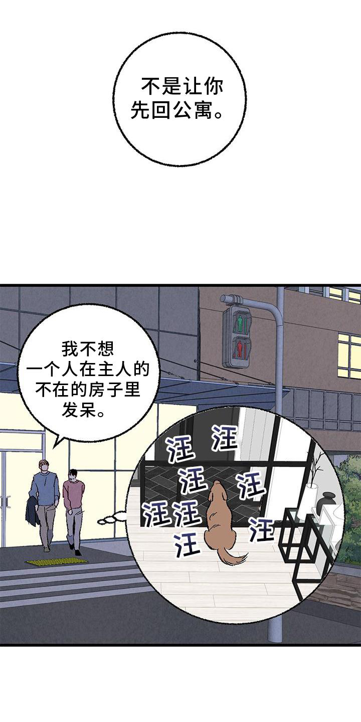 《完美伴侣》漫画最新章节第112章：【第二季】疲惫免费下拉式在线观看章节第【18】张图片