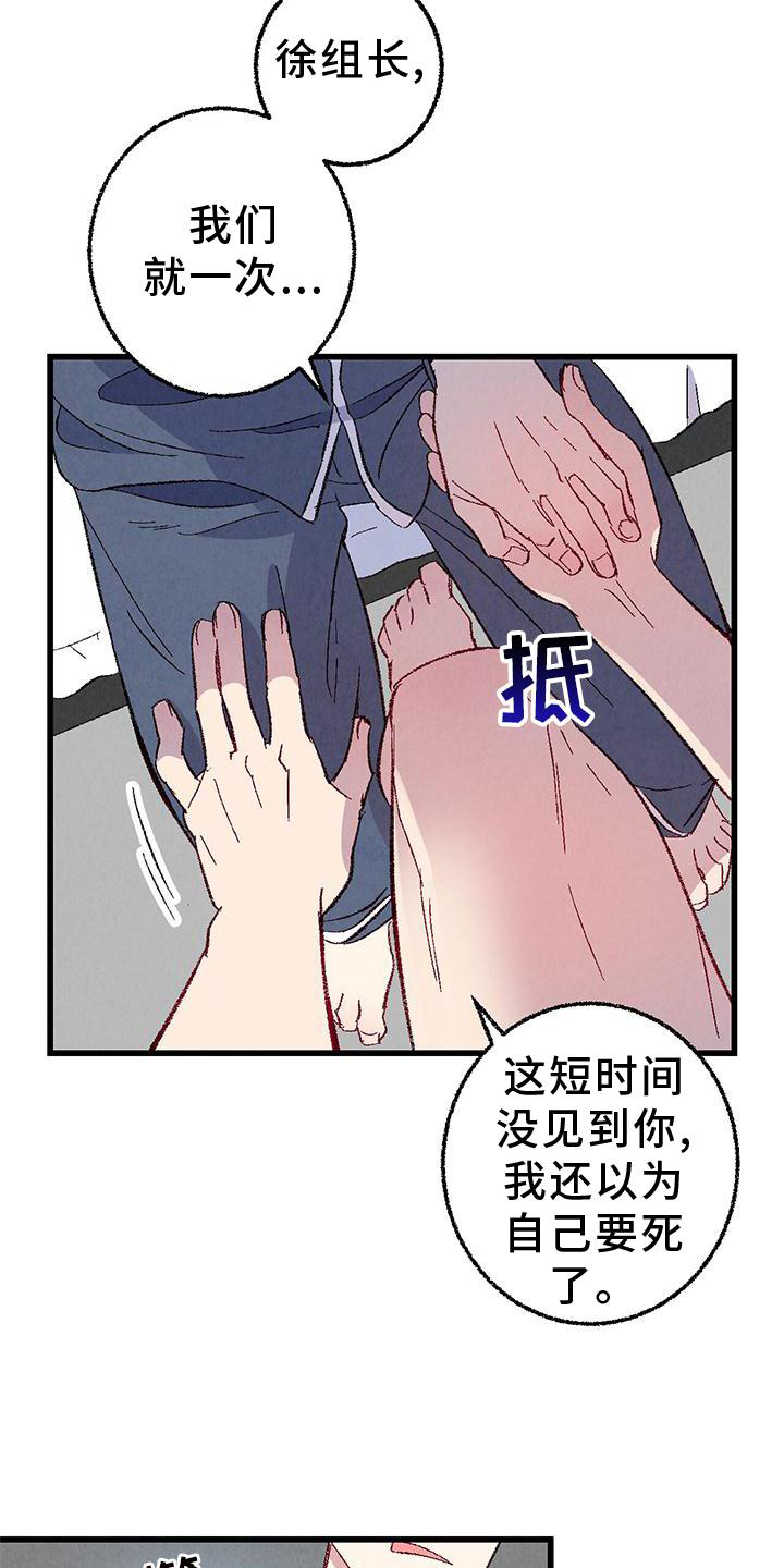 《完美伴侣》漫画最新章节第113章：【第二季】愉快免费下拉式在线观看章节第【7】张图片