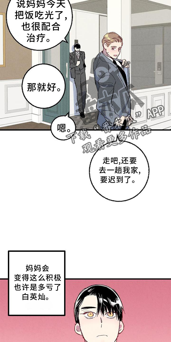 《完美伴侣》漫画最新章节第114章：【第二季】猫猫免费下拉式在线观看章节第【26】张图片