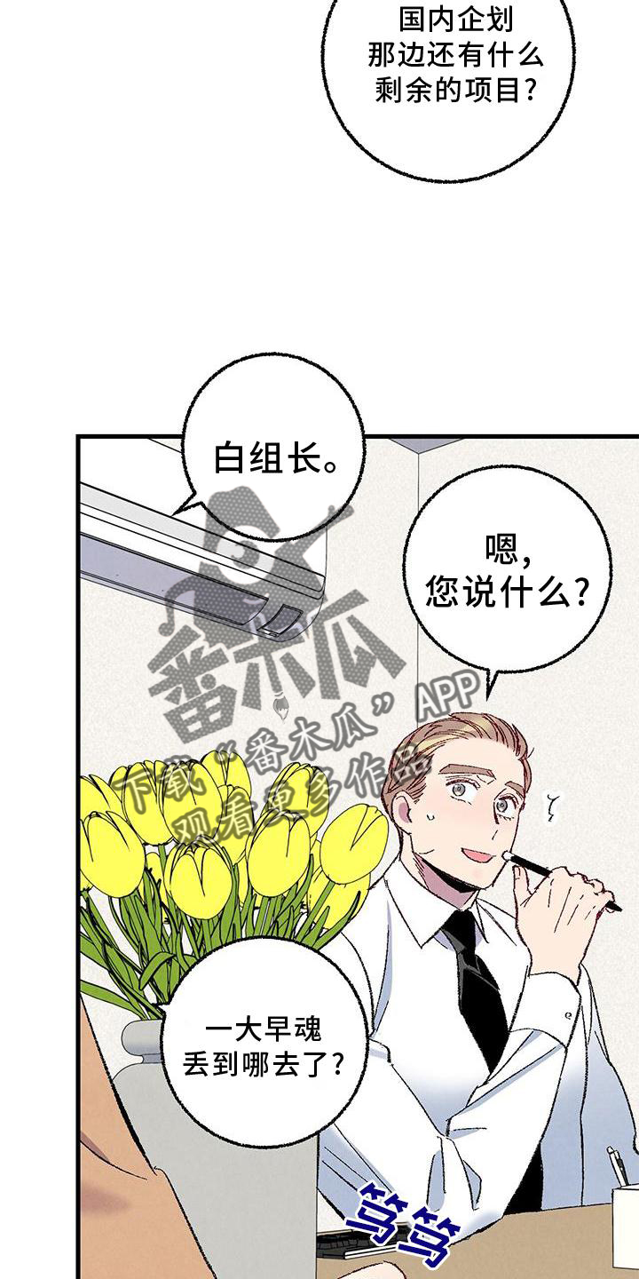 《完美伴侣》漫画最新章节第114章：【第二季】猫猫免费下拉式在线观看章节第【11】张图片