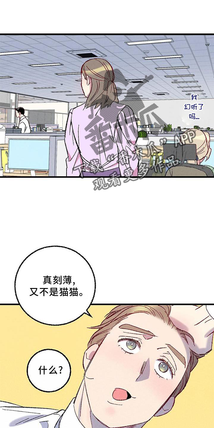 《完美伴侣》漫画最新章节第114章：【第二季】猫猫免费下拉式在线观看章节第【6】张图片