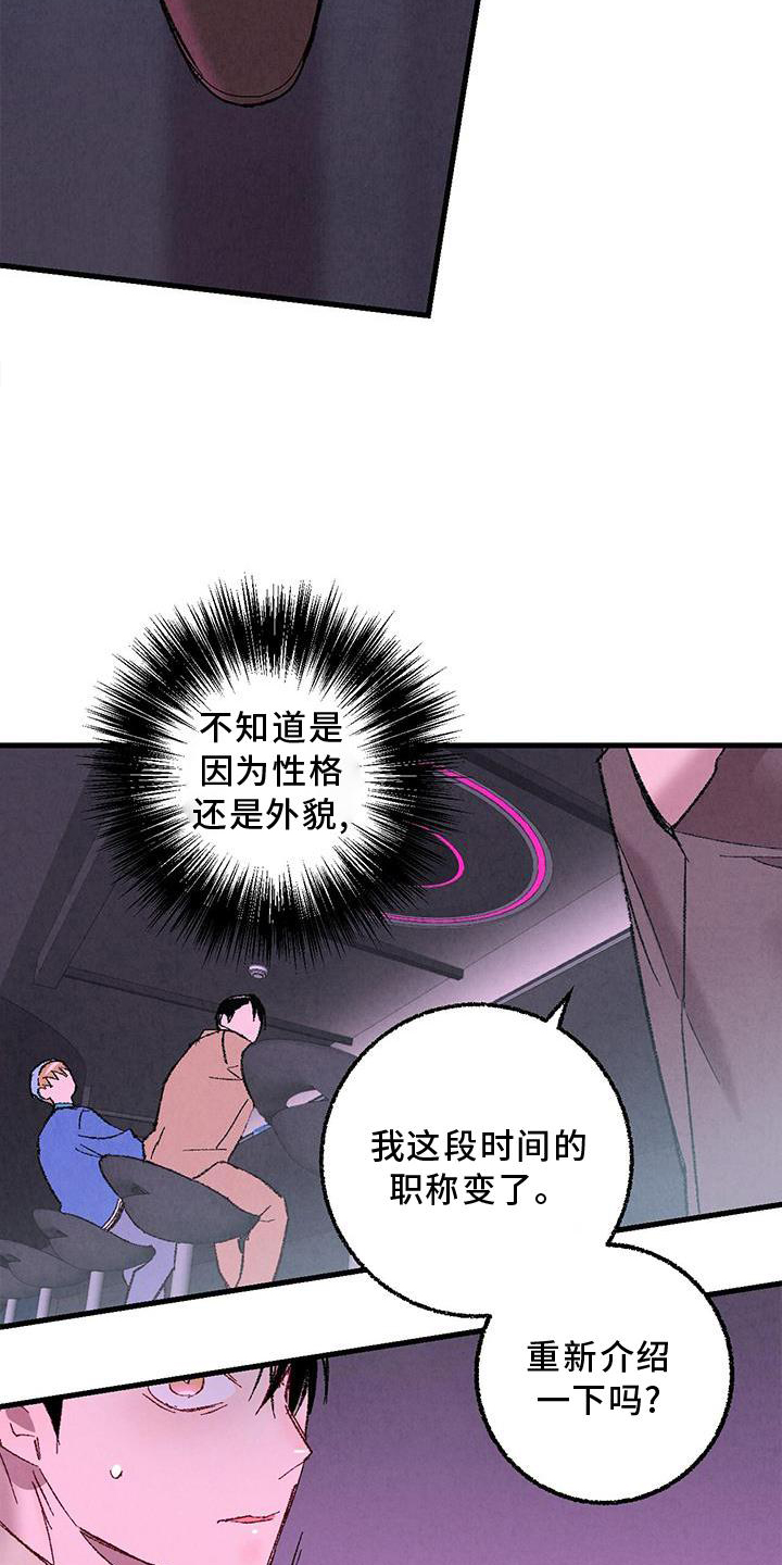 《完美伴侣》漫画最新章节第117章：【第二季】重新介绍免费下拉式在线观看章节第【3】张图片