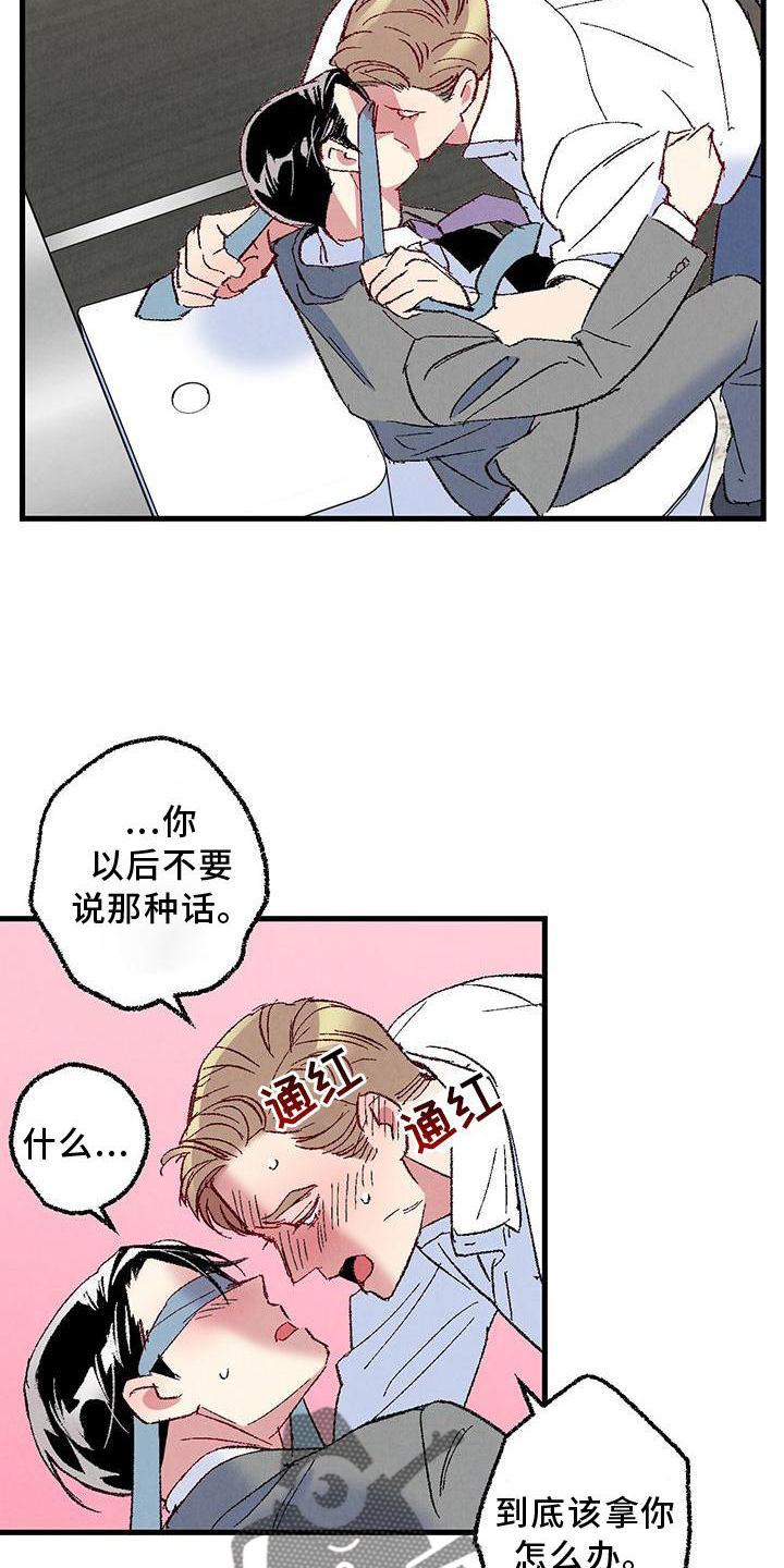 《完美伴侣》漫画最新章节第117章：【第二季】重新介绍免费下拉式在线观看章节第【12】张图片