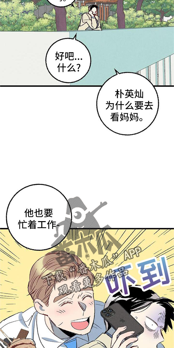 《完美伴侣》漫画最新章节第120章：【第二季】能力免费下拉式在线观看章节第【13】张图片