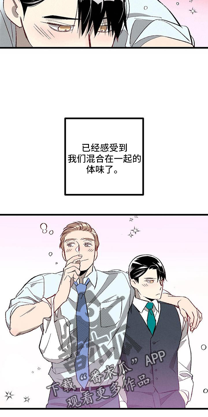 《完美伴侣》漫画最新章节第122章：【第二季】了解的太少免费下拉式在线观看章节第【12】张图片