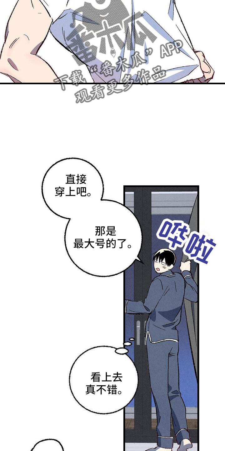 《完美伴侣》漫画最新章节第126章：【第二季】装蒜免费下拉式在线观看章节第【6】张图片