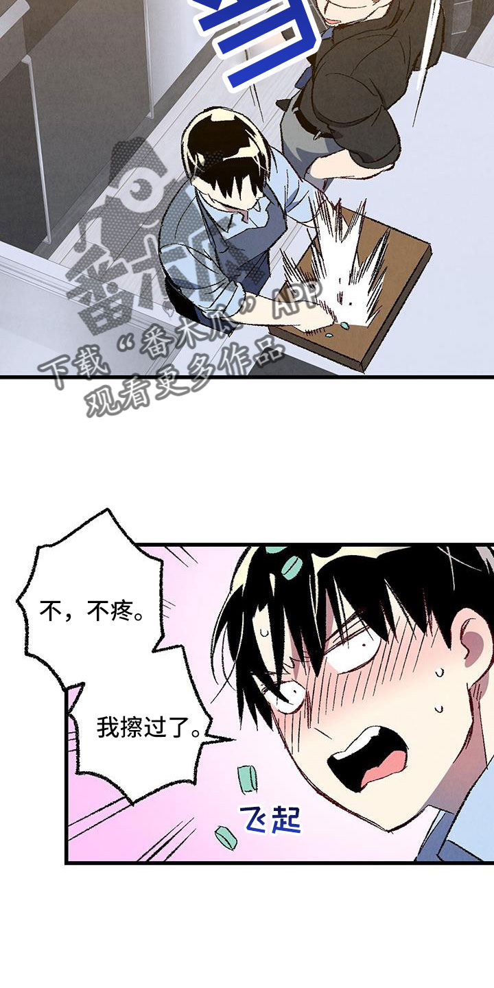 《完美伴侣》漫画最新章节第126章：【第二季】装蒜免费下拉式在线观看章节第【14】张图片