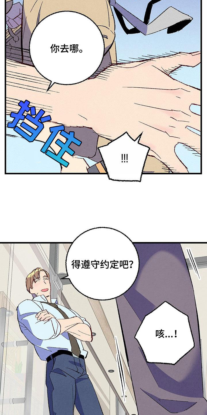 《完美伴侣》漫画最新章节第135章：【第二季】有恃无恐免费下拉式在线观看章节第【15】张图片