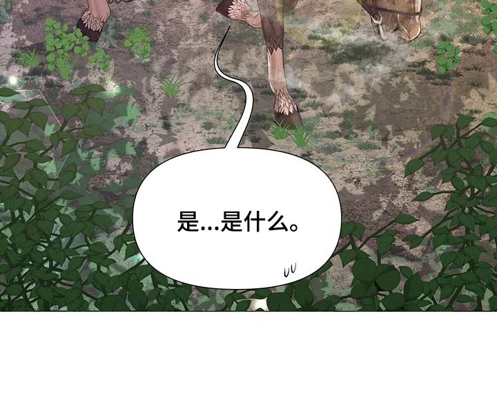 《夜烟起》漫画最新章节第38章：负责免费下拉式在线观看章节第【10】张图片