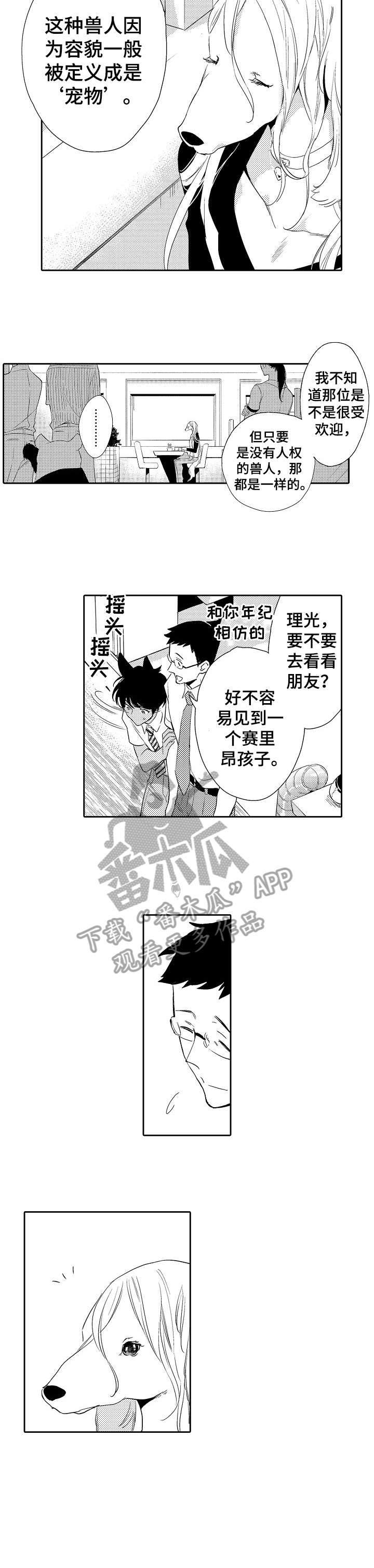 《他带来了光》漫画最新章节第13章：看穿免费下拉式在线观看章节第【3】张图片