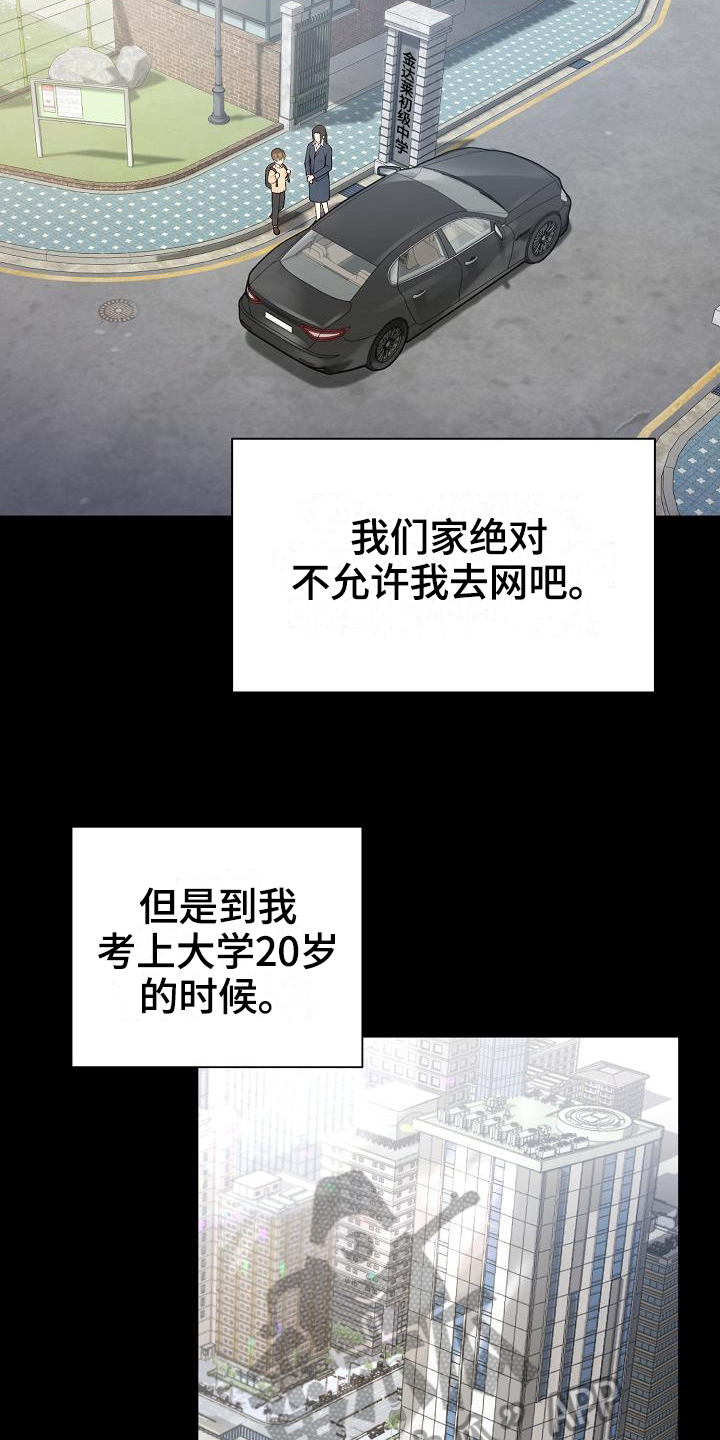 《网络恋人》漫画最新章节第4章：起因免费下拉式在线观看章节第【17】张图片